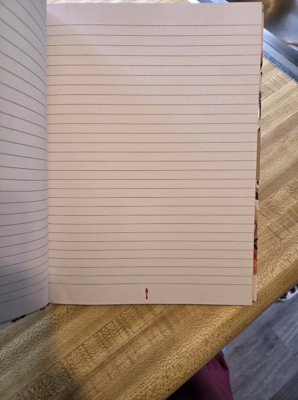 Christian Louboutin NWT RARE Journal